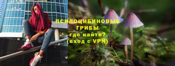 прущие грибы Абдулино