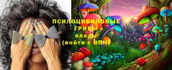прущая мука Надым